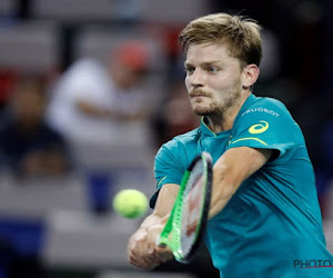 Dit heeft David Goffin te zeggen over cruciale match tegen Dominic Thiem