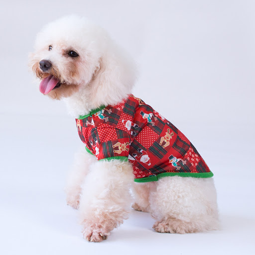Title 7, Halloween Series New Dog Clothes T Shirt. Fun a...