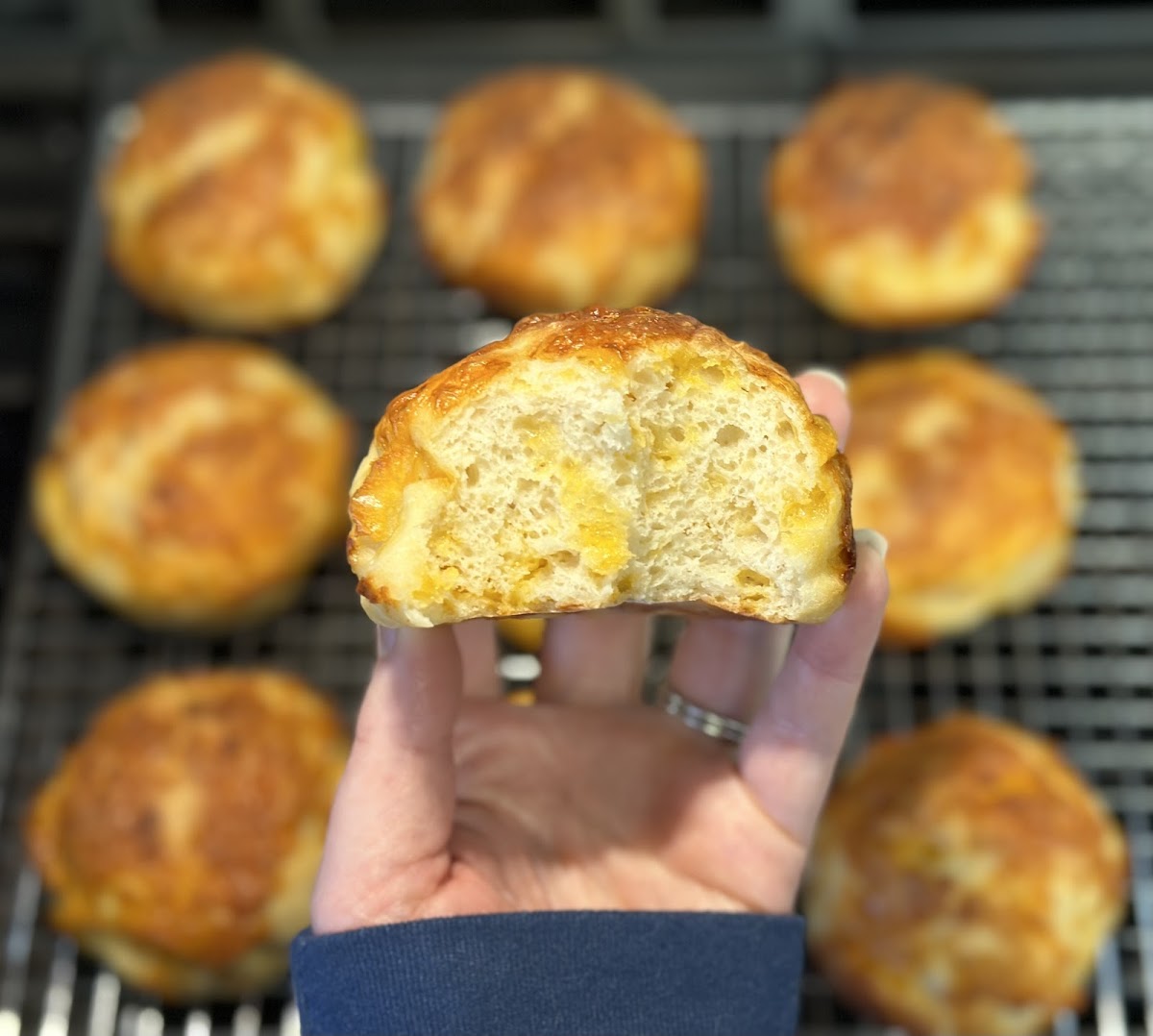 Cheddar Potato Bread Rolls