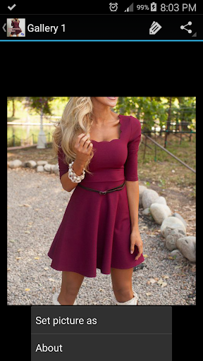 Burgundy Dress