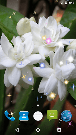 Mogra Live Wallpaper