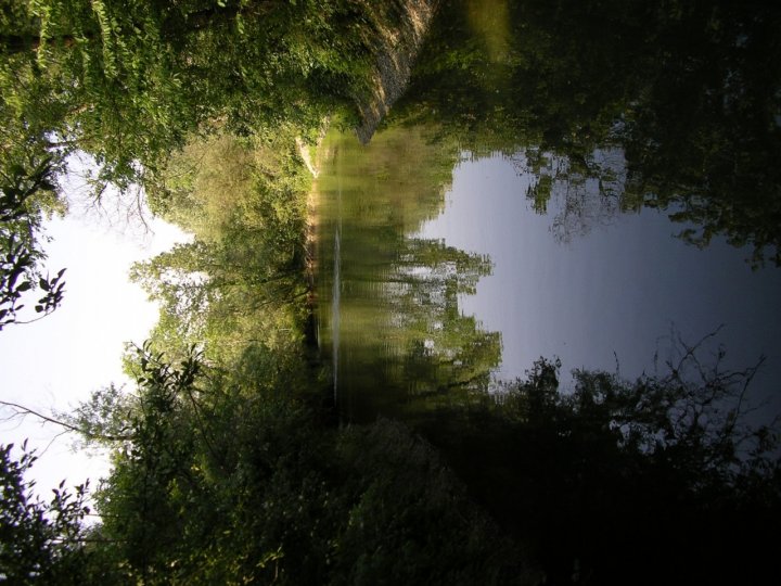 Passeggiata nel bosco di La Sognatrice