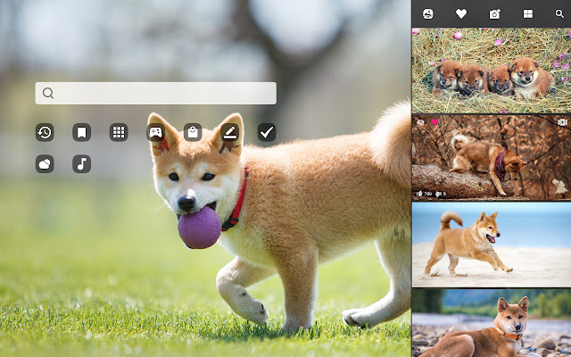 My Shiba Inu - Cute Dog & Puppy Wallpapers