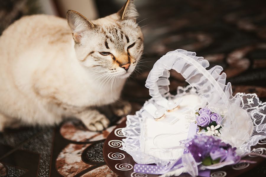 Photographe de mariage Yana Gavrineva (gavrineva). Photo du 24 mars 2014