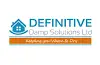 Definitive Solutions  Logo