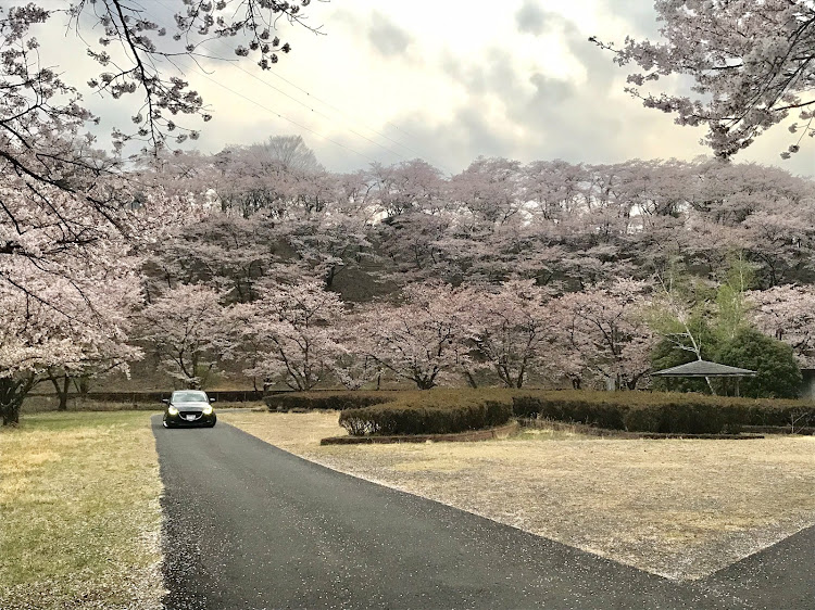 の投稿画像2枚目