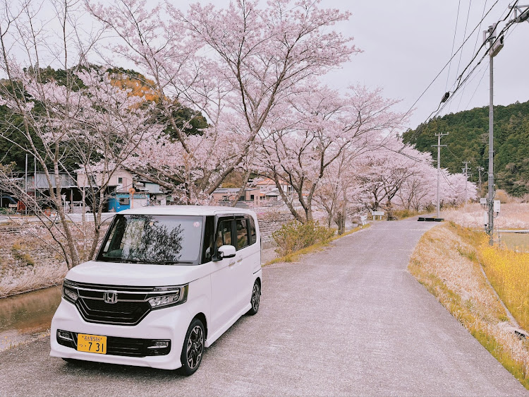 Nボックスカスタムの桜とコラボ・4月もよろしくお願い致します🌸・過去picに関するカスタム事例の投稿画像1枚目