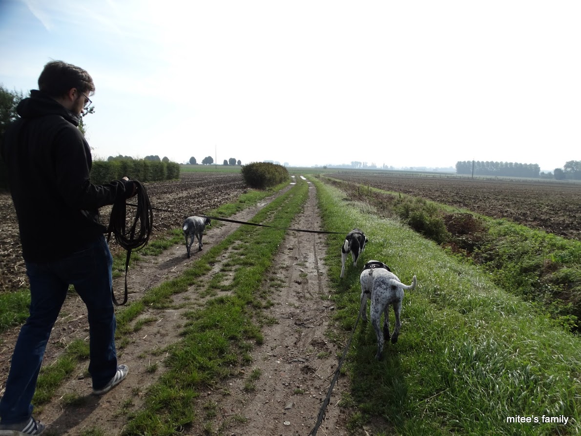  - Neva, jeune border collie ADOPTÉE   - Page 2 Cee7b_mAm91fj6YrUdBdSdad-C6VXg_VCX5YQLnZZyl_WgjiCXozsQ-NJXnC0n6Q2hD8DfmoNizQ7h8xS4Nju9zyEd2eVicNLcuwYPXaustSU0HOX08AtGtlFNvmK80rAXfg2YetfXomvQGs9zuQbHx1FyiGqwJT1Zi9-kqAwvhkfPYqg-DxR1KetjpSdtNvwHQAFoEyv7kRHQJB00YMjq52e7XiQvUa5dH5TY_mYu7v7T1zZIGY1AMUURmNB6LioqDMns0H3Bq1V69LzlCJ5H0_Hb0t6qArlS5uM_nAwxdSMZmkKhByFztFBioS61QtP4ilPDHhe2zacmfareuvee9tq06RRMkUBW84oqiTuM-o5S8bObtUldZDpOts4_0ytHOVknuRFmwc_LZF8_nwNOSROCezXMEcTvtZRaE2X-vZttGXuPBTclKob_S_e4mpEFPSGB5QIp5OP1AN37_bMNfH61svPQVa_mdNvFkKx0uqswJfnV5_vFsRVimDBfMXr9YaqAKjuE-CcdixGLlBJi1fNpkKFTYHdSJO8UIuzWC-X4ZKr_GZhLUh26bV1PVuZNZVWGH-H49xOYUU_vlAKZSBpYFY492uvq0nJWuBNgQ=w1190-h892-no?pageId=102314735241138359955