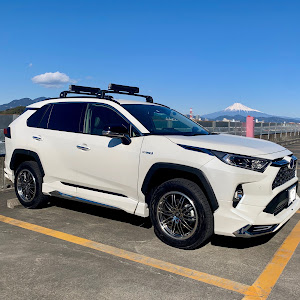 RAV4 AXAH54