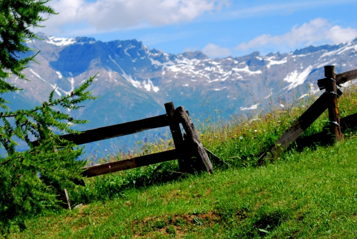 Montagna estiva... di elenacastagnero