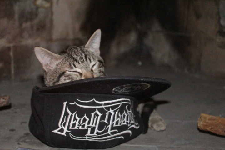 1 gattino nella hip hop di ghiretta90