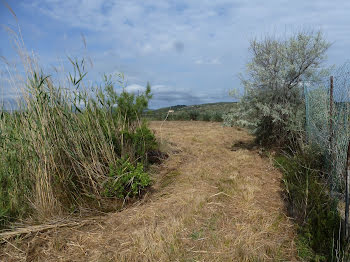 terrain à Port-la-Nouvelle (11)