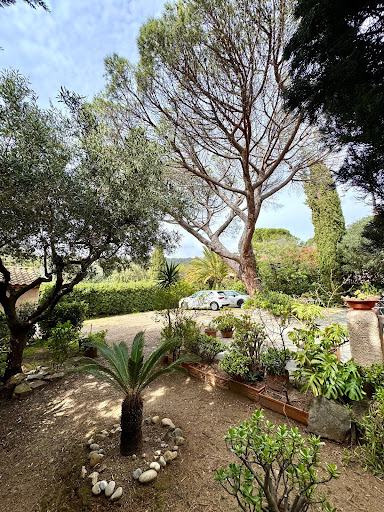 Maison avec jardin et terrasse 3