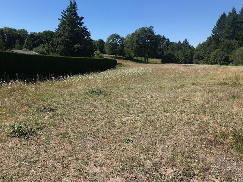 Vente terrain  1500 m² à Compreignac (87140), 40 000 €