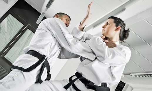 Learn Japanese Martial Art Techniques - náhled