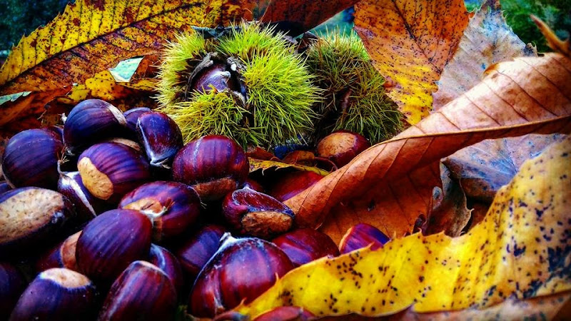 Colors and fruits! di valentinamello