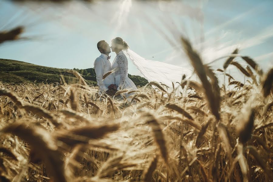 Wedding photographer Vladimir Kolesnikov (photovk). Photo of 4 April 2019