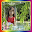 Nature Photo Frames Download on Windows