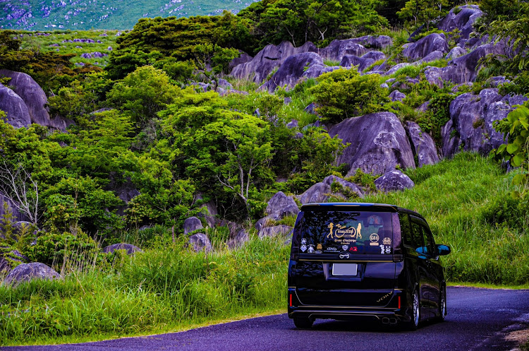ヴォクシーの新緑と愛車・地味にピックアップ狙い（笑）・カメ活・撮らせてくれる車両さん募集中（笑）・モデルさんも募集中（笑）に関するカスタム事例の投稿画像5枚目