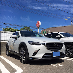 CX-3 DKEFW