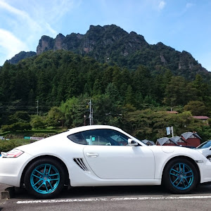 ケイマン 98720