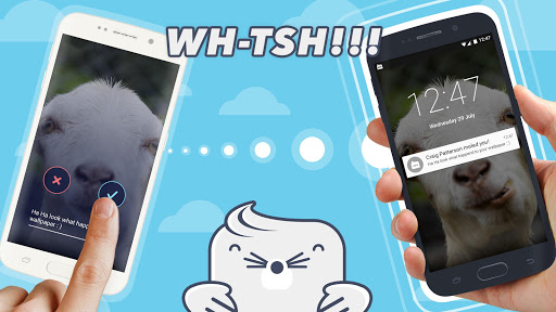 無料社交Appのモグラ (Mole ベータ)|記事Game