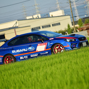 WRX STI