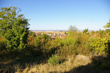 terrain à Gemeaux (21)