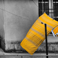 Giallo in terrazza di AmedeoJr Zullo