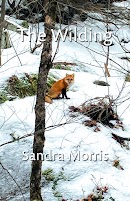 The Wilding cover