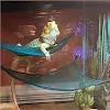miniatures image - 1