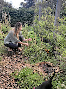 Emma Jordan tends to her allotment.