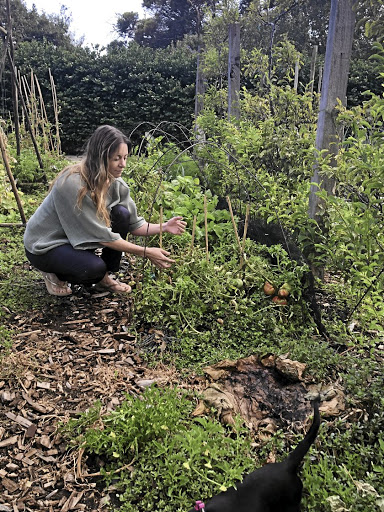 Emma Jordan tends to her allotment.