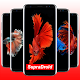 Download Betta Fish 3D Wallpapers For PC Windows and Mac 1.0