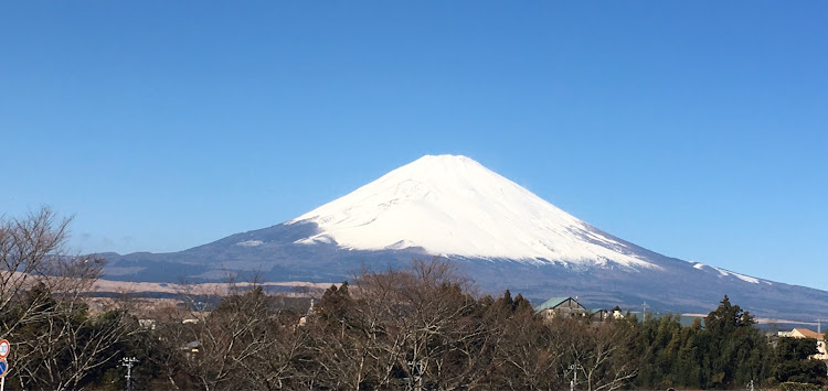 の投稿画像3枚目