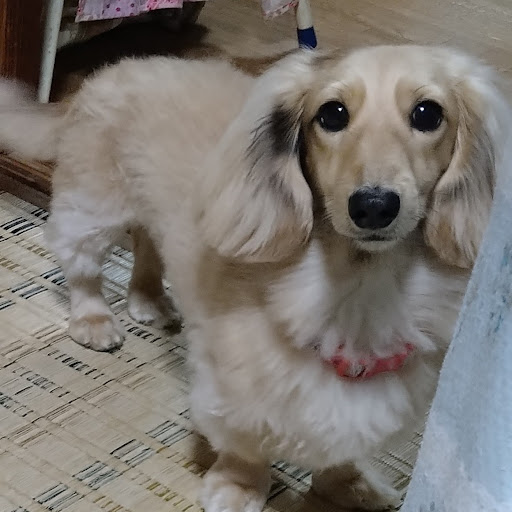 N-kのプロフィール画像