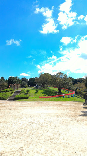 花高中央公園