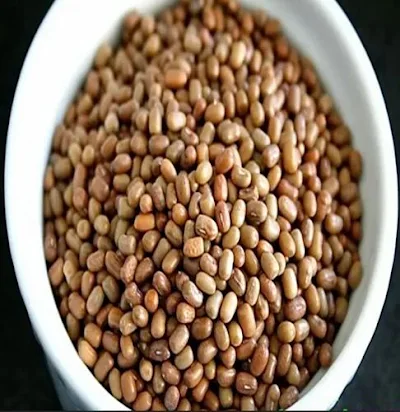 Matki Dal - 500 gm