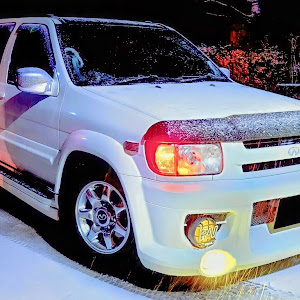 テラノレグラス JTR50