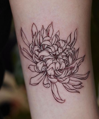 Stunning Chrysanthemum Tattoo