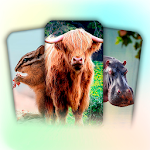 Cover Image of डाउनलोड Animals for Kids - Flashcards 1.63 APK