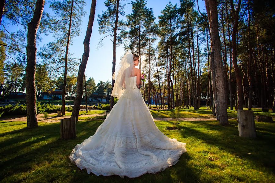 Photographe de mariage Darina Limarenko (andriyanova). Photo du 27 novembre 2014