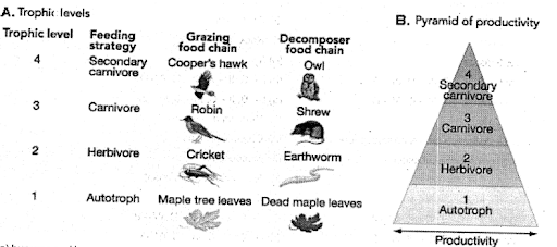 Flow of energy