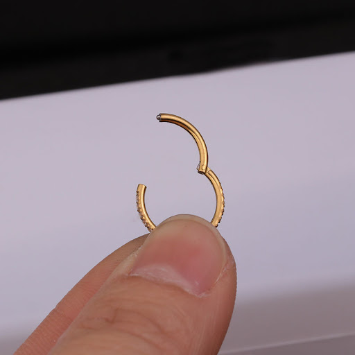 Title 10, Closed ring made of pure, seamless stainless st...