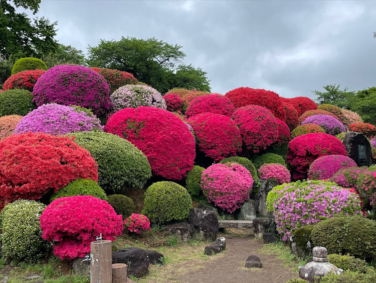 の投稿画像5枚目