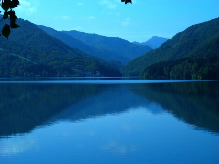 Riflessioni di bucefalo