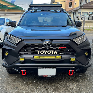 RAV4 MXAA54