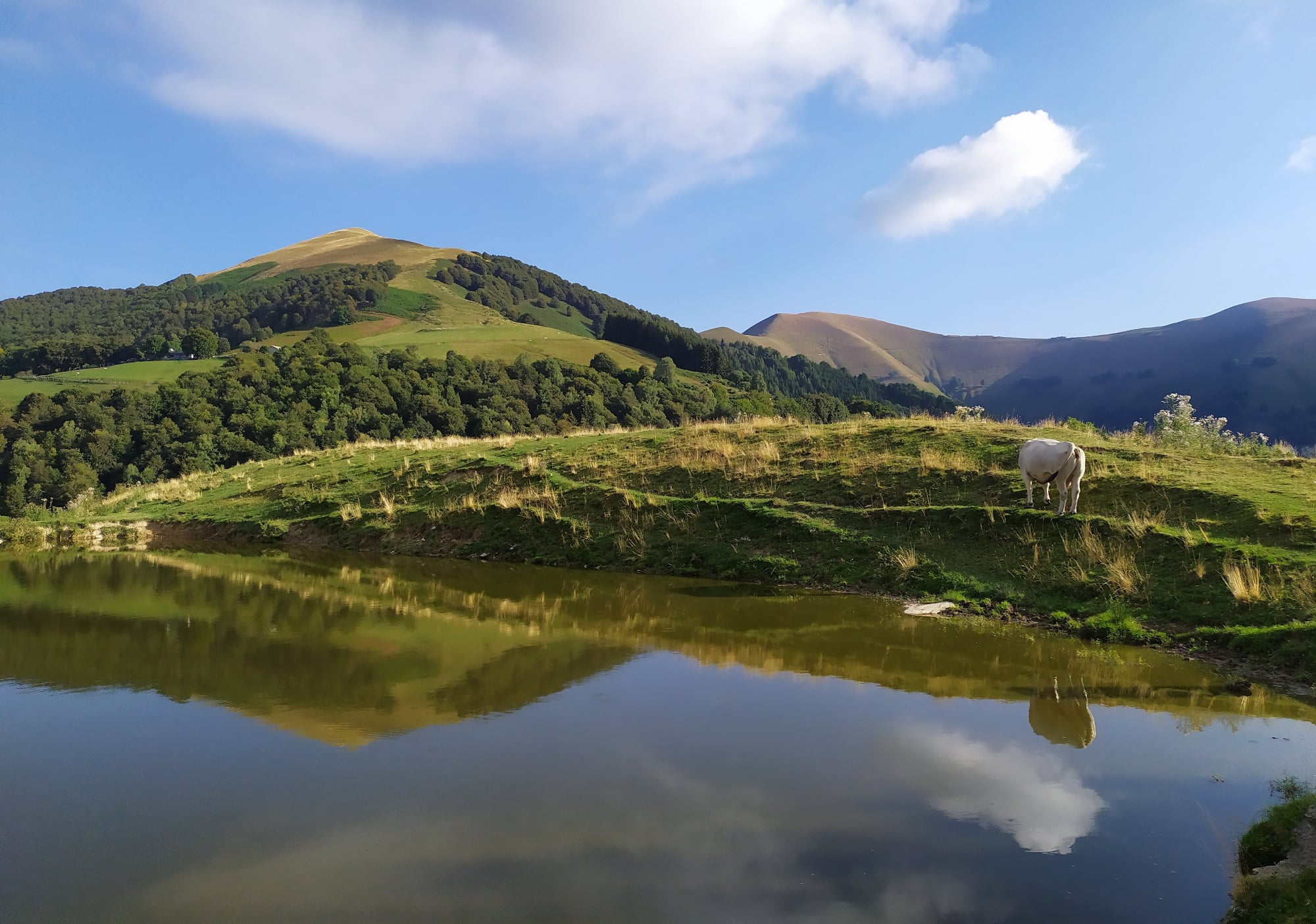 Riflessi di nuvole e colline di aganugi