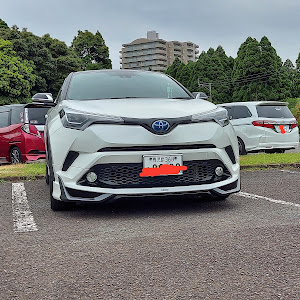 C-HR ZYX10