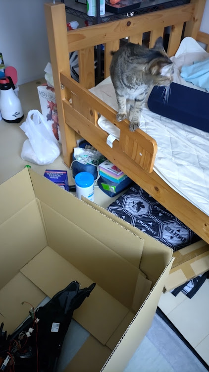 ノアのカーデン・イカリング切れた・ねこ・コンサート・ヘッドライト交換に関するカスタム事例の投稿画像11枚目